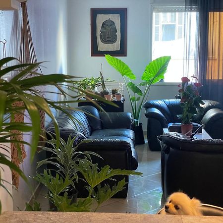Private Room Casablanca Ngoại thất bức ảnh