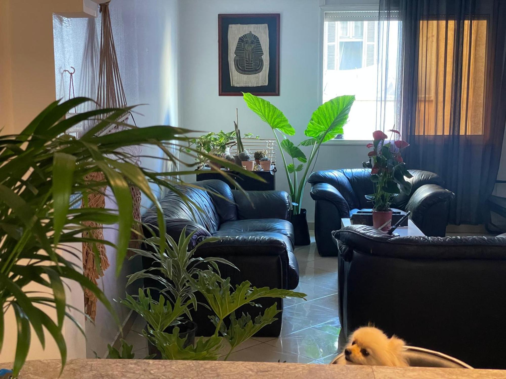 Private Room Casablanca Ngoại thất bức ảnh
